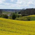 Prázdninový dům Storchenweg Mahlzow