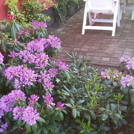 度假居 Storchenweg Mahlzow