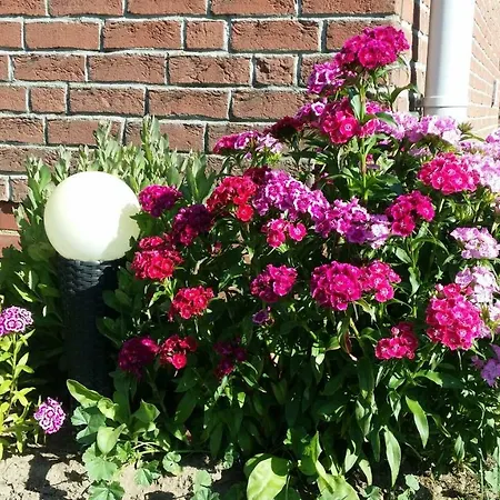 度假居 Storchenweg Mahlzow