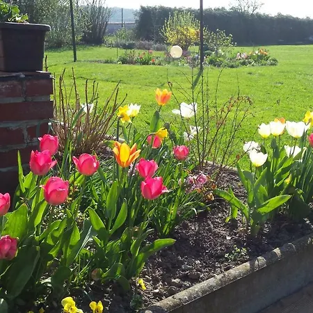 בית נופש Storchenweg