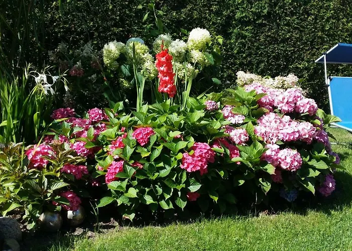 Hébergement de vacances Storchenweg